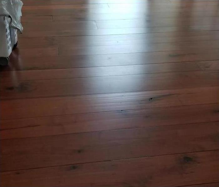 dried wooden floor planks
