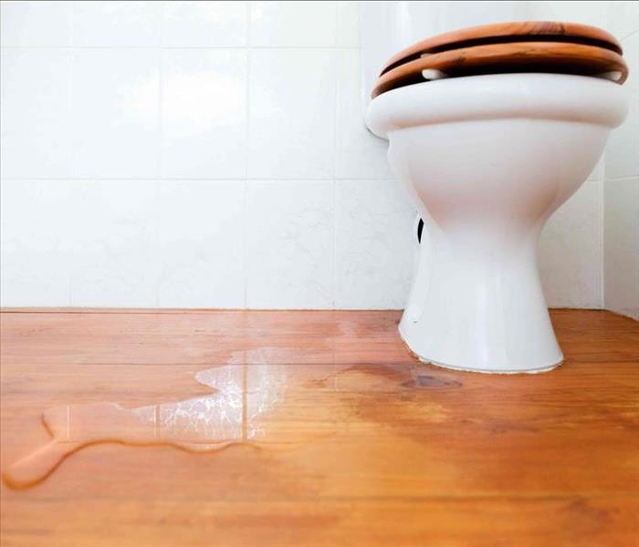 leaking toilet on a wood panel floor